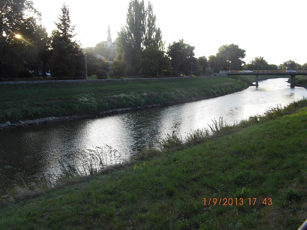 Fukas Apartments Nitra Rum bild
