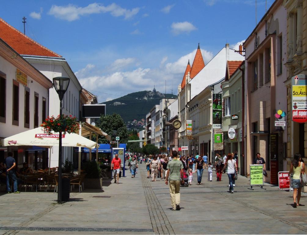 Fukas Apartments Nitra Rum bild